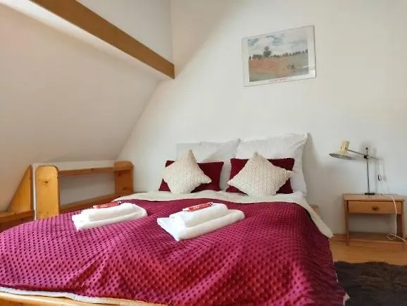 Lejlighed Apartament W Centrum Przy Kominku Zakopane
