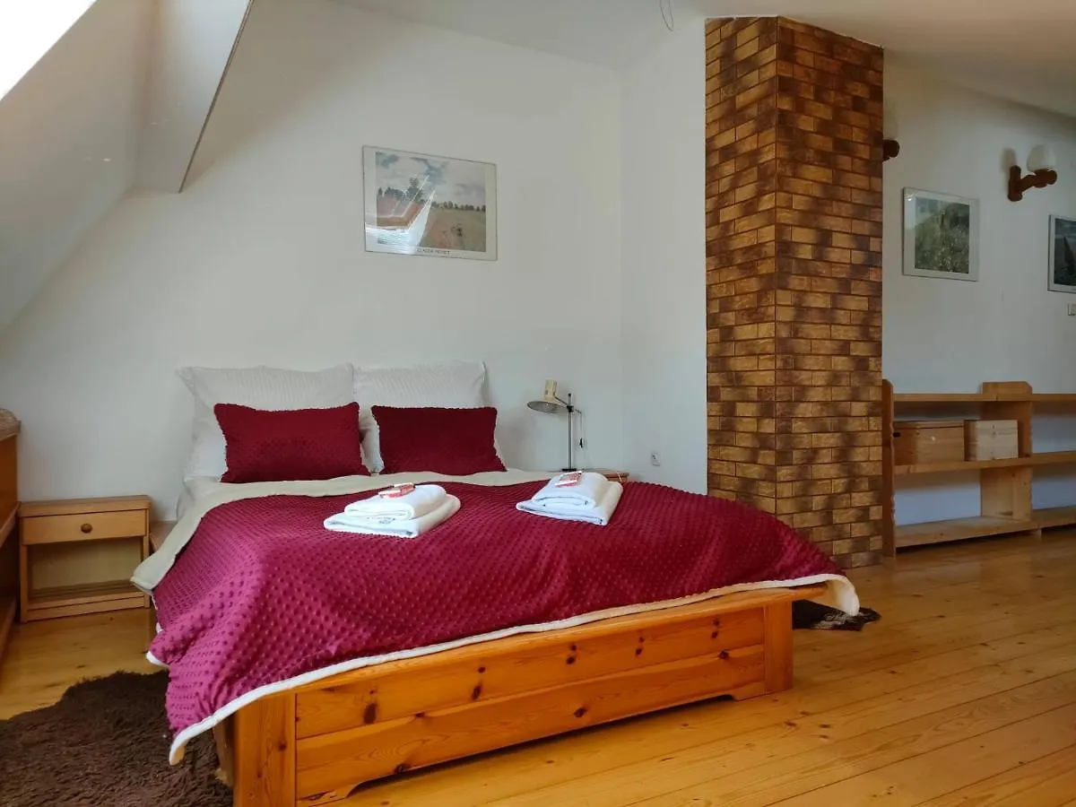 Apartament W Centrum Przy Kominku Zakopane Lejlighed
